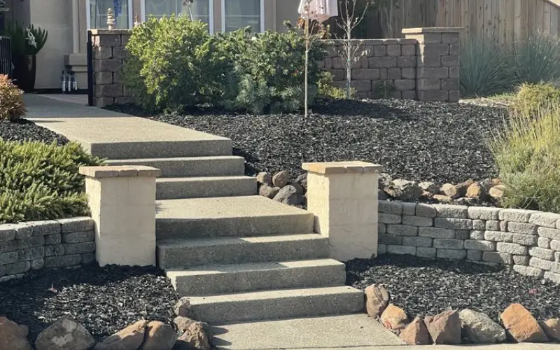 Landscaping company in Sacramento 1