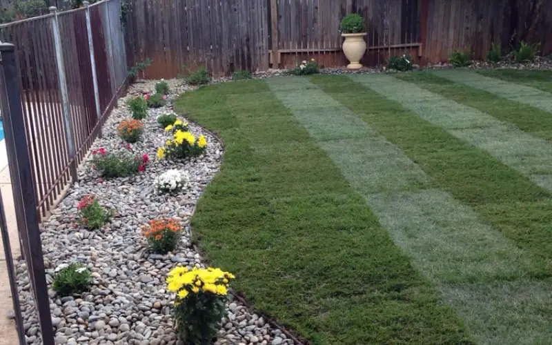 Landscaping company in Sacramento 3