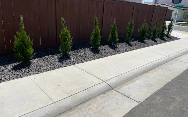 Landscaping company in Sacramento 4