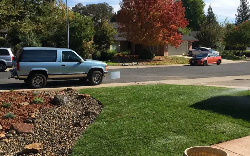 landscaping expert Sacramento