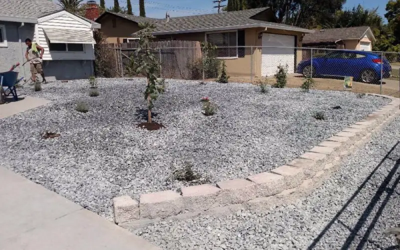 landscaping expert in Sacramento 2