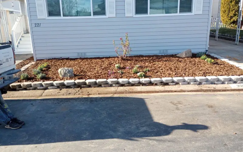 landscaping expert in Sacramento